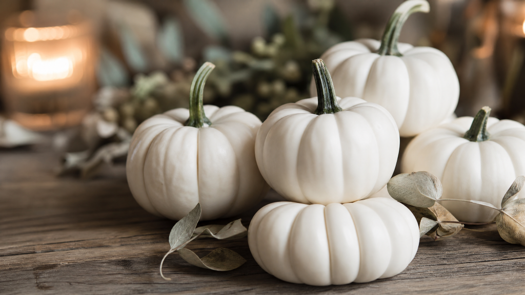 Pumpkin